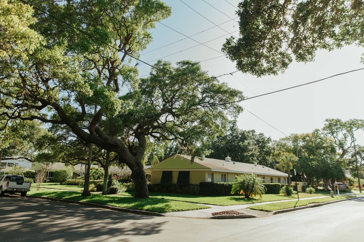 Sunny Florida corner-lot home with a sprawling live oak reaching its limbs over the roofline