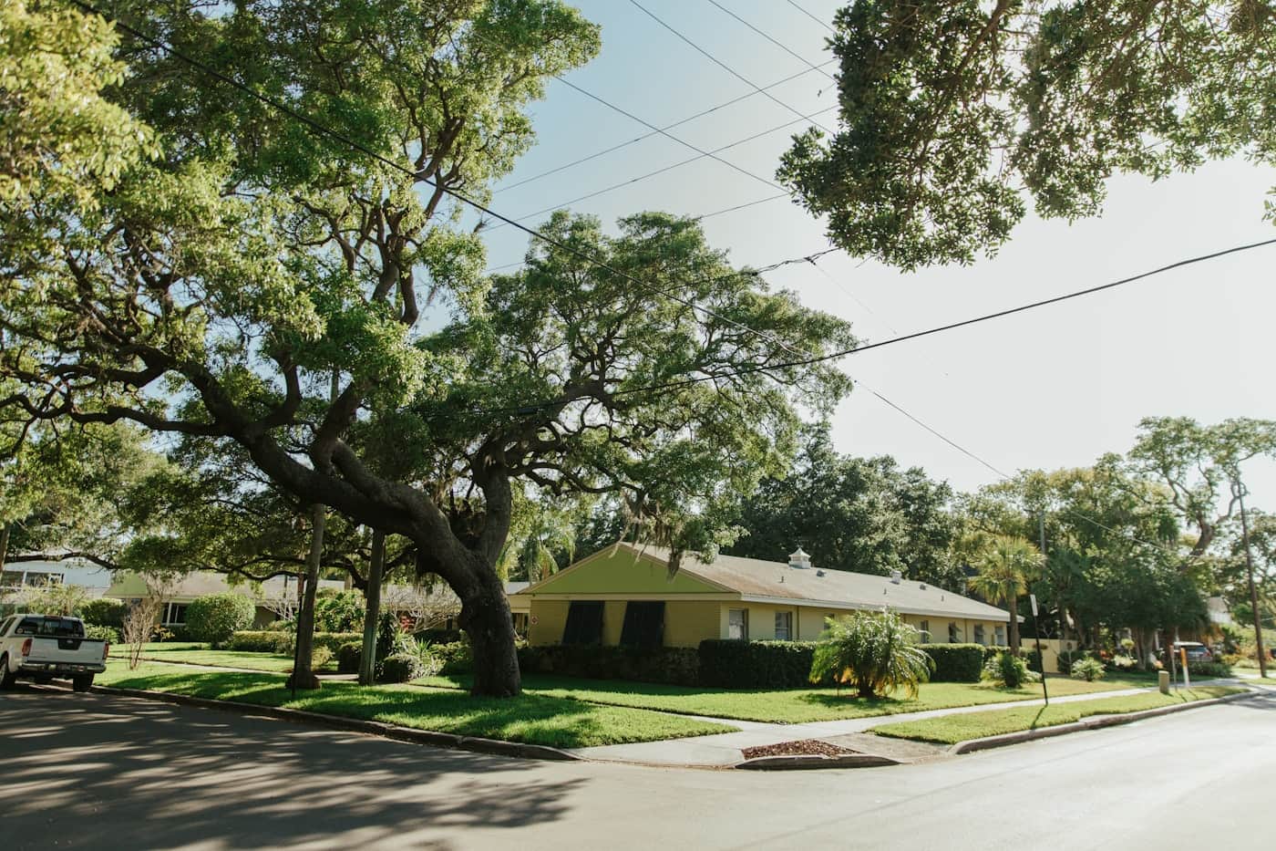 Sunny Florida corner-lot home with a sprawling live oak reaching its limbs over the roofline